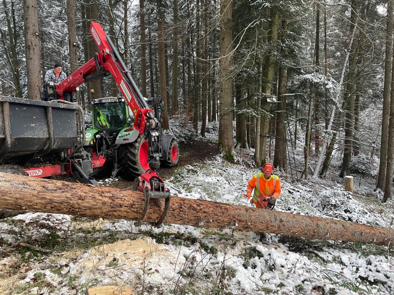 Aufarbeitung von Starkholz Modul-B Forstarbeiter mit Maschinen in verschneitem Wald, Baum wird gefällt und bewegt.